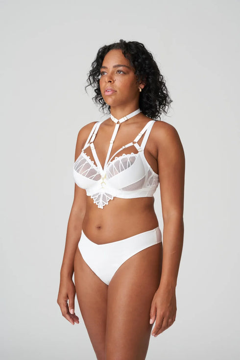 PrimaDonna Arthill Special Accessory